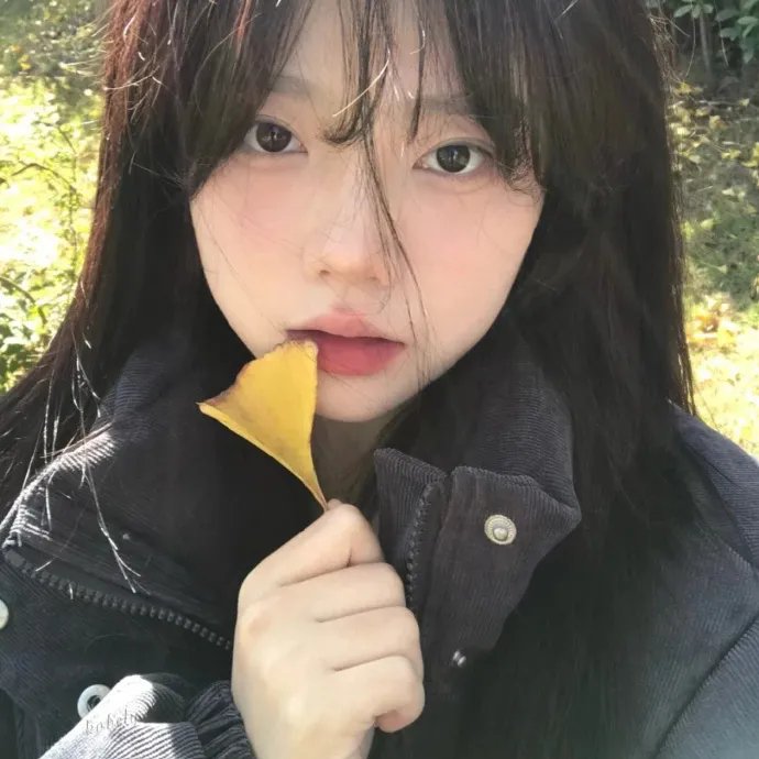 绝代双骄