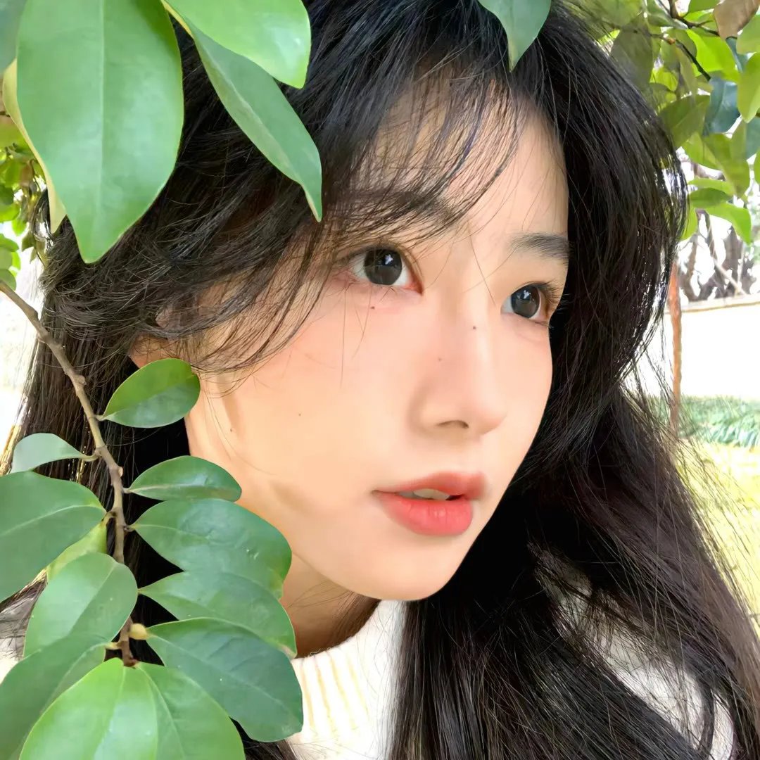 露辛达·布雷福特